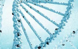 辽宁省多家医院提供三代试管婴儿助孕服务，成功率颇高！